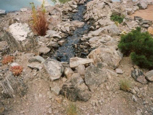 Zahrady ROLO Radek Lou�ka