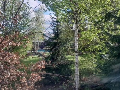 Zahrady ROLO Radek Lou�ka