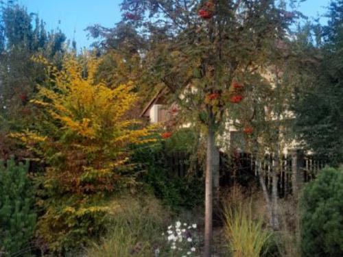 Zahrady ROLO Radek Lou�ka